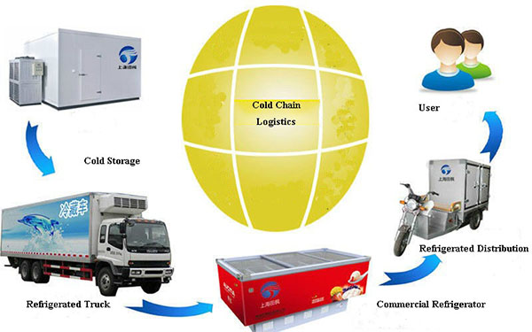 Cold Chain Logitstic