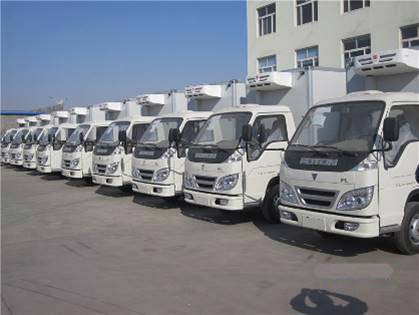 Truck Refrigeration Unit V300F serves in Algeria