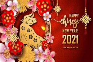 Chinese New Year Holiday Notice