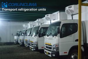 Latin America Fuso Delivery Truck Fleet Freezer Project