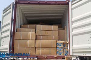 An 20ft Container Transport Refrigeration Units Is Loaded And Delivered To Middle East