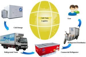 Transport Refrigeration Unit Plays a Critical Role in Cold Chain Logistics 